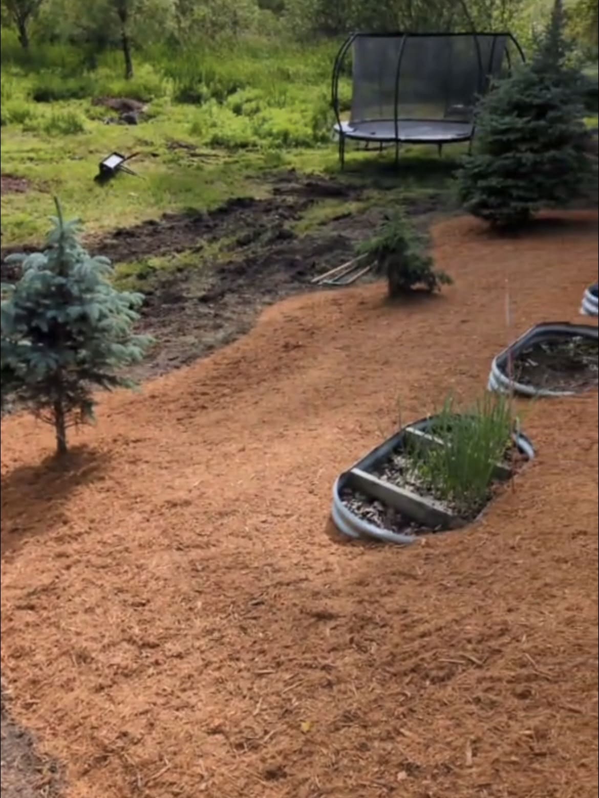 Representative project imagery supplied by All American Landscape Solutions