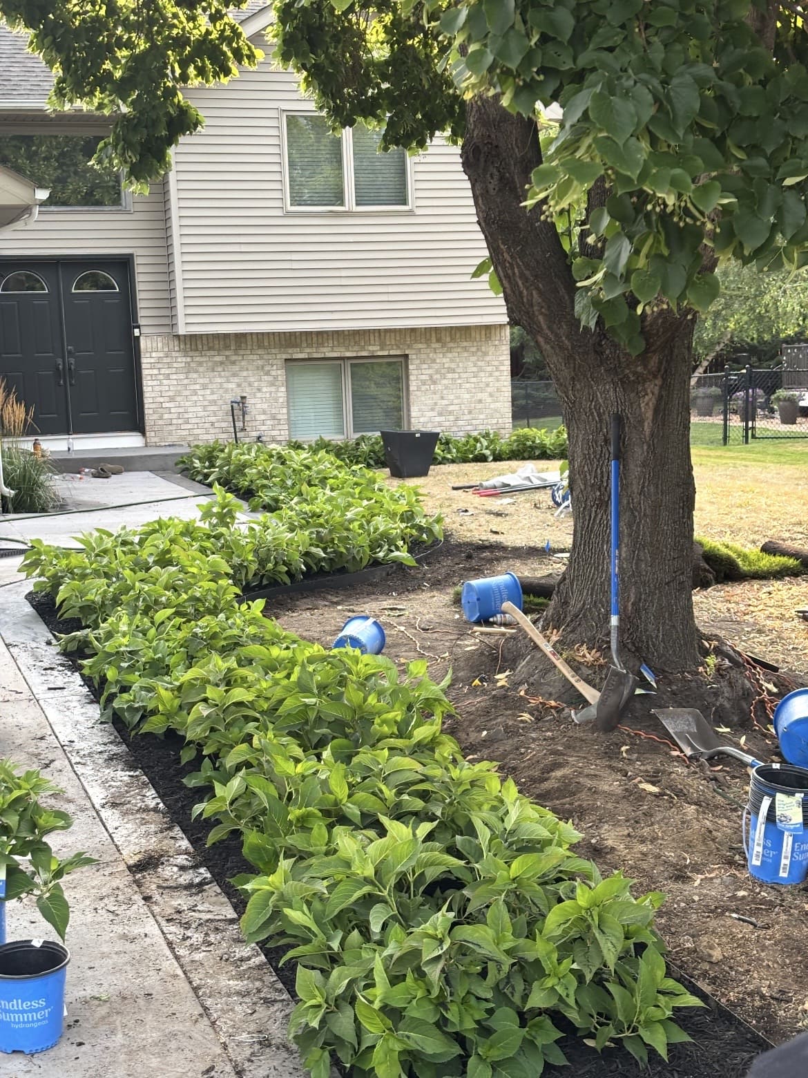 Supplied All American Landscape Solutions project photo 25